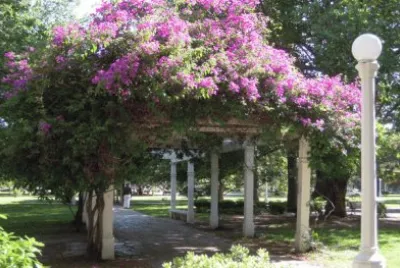 En Balcarce. Buenos Aires. Argentina