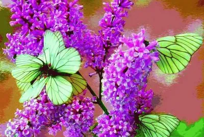 flores jigsaw puzzle