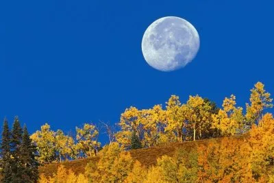 Natureza
