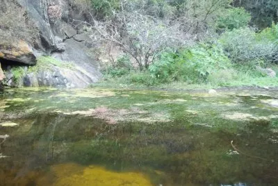 Cerca de Las CaÃ±as. Catamarca. Argentina