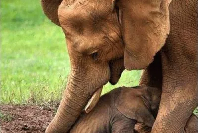 mom#187