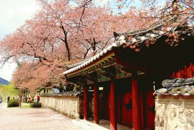 Korea