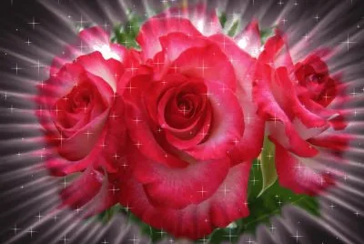 florres jigsaw puzzle