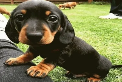 adorable