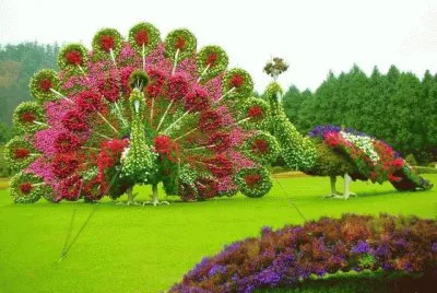 flores