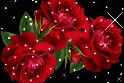flores jigsaw puzzle