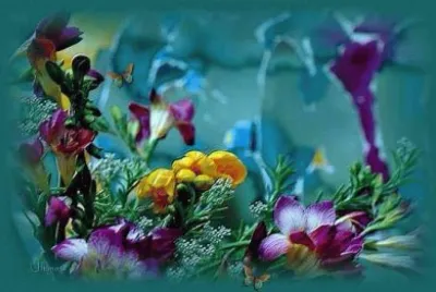 imagenes jigsaw puzzle