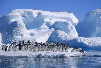 AntÃ¡rtida Argentina