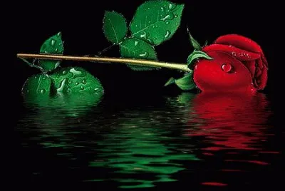 flores jigsaw puzzle