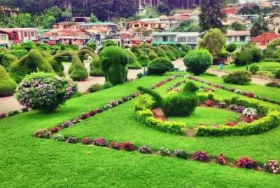 jardin