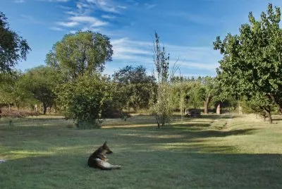 En Santa Rosa. La Pampa. Argentina