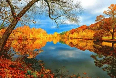 Natureza