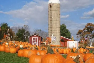 oct11