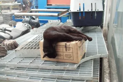 Conchita, la supervisora