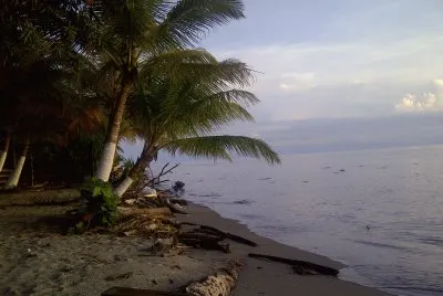 Belleza Tropical
