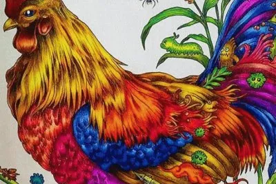 Amazing Rooster