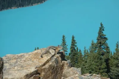 CANADA