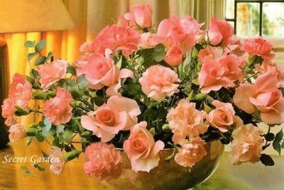 rosas jigsaw puzzle