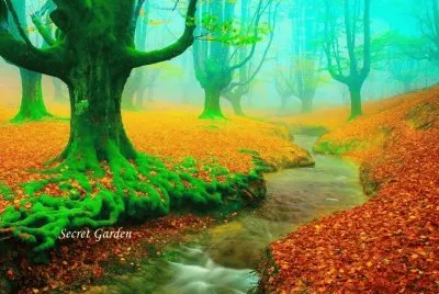 natureza