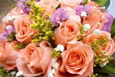 rosas jigsaw puzzle