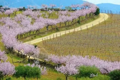 Natureza