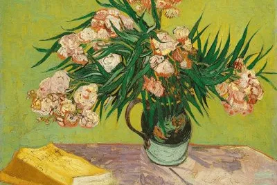 Vincent Van Gogh jigsaw puzzle