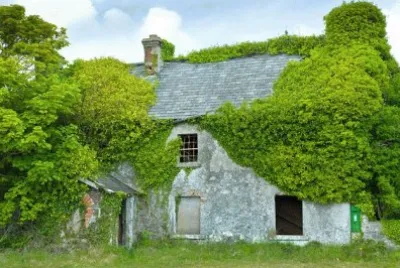 Natureza