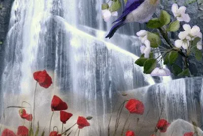 imagenes