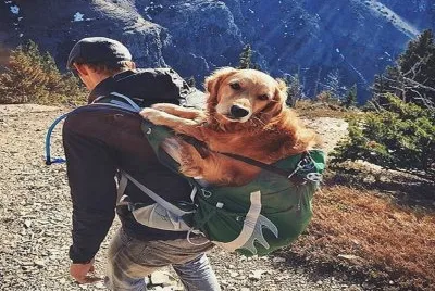 :)))))