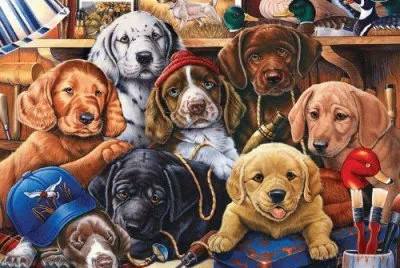 Just Dogs