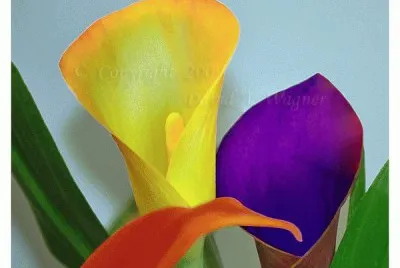 Happy Part Flowers