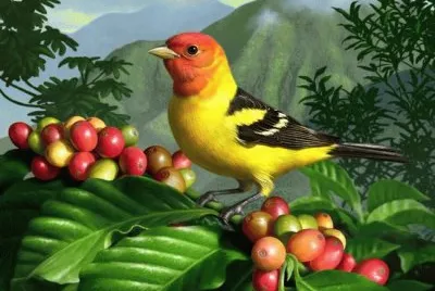 Bird with Berry 's