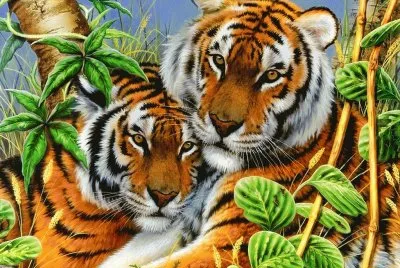 ghftrdsfg jigsaw puzzle