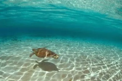 Los Roques