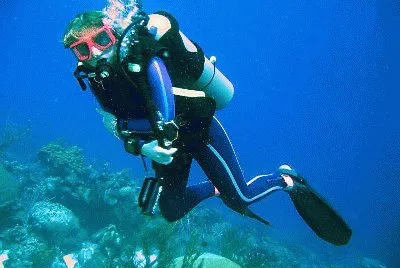 Buceo en Los Roques