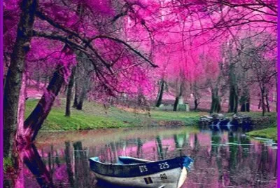 imagenes
