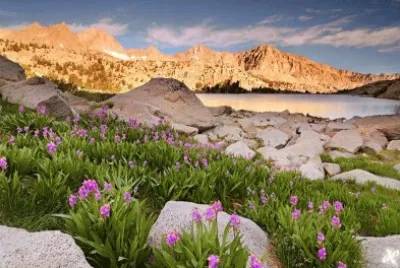 Natureza