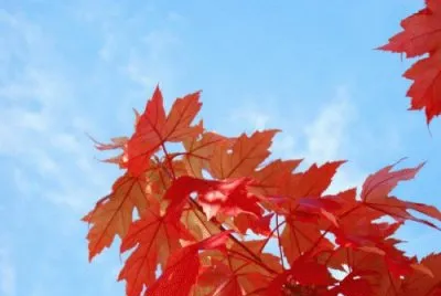 oct20