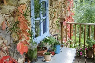 Ventana