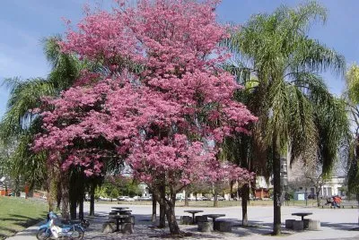 En Rosario. Santa Fe. Argentina