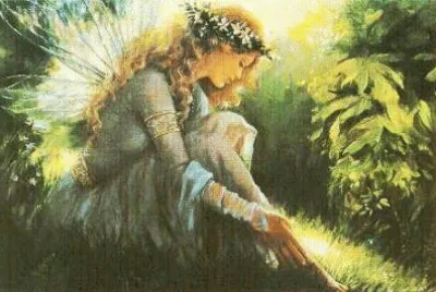 hadas jigsaw puzzle