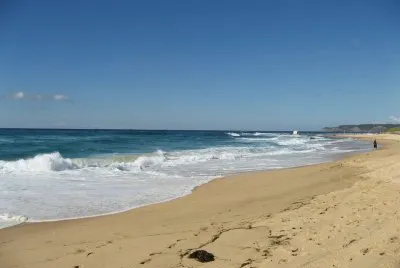 Beach at Newcastle