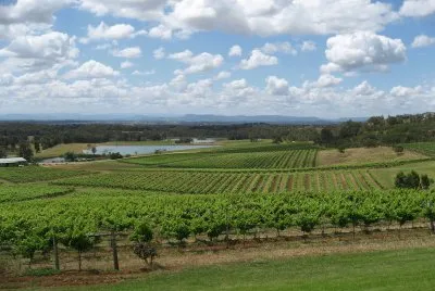 Hunter Valley Wine country