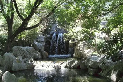 Japanese Garden, Sydney