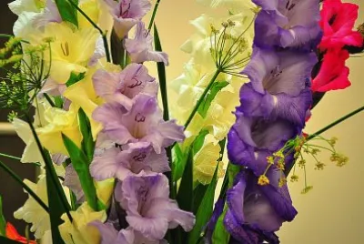 Blumen 18