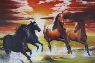 cavalos