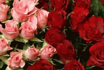 flores jigsaw puzzle