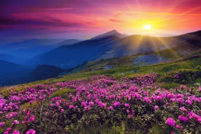 couchersoleil