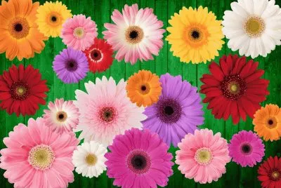 7btv6754ecs43e5rt jigsaw puzzle