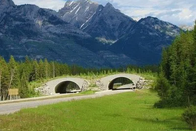 Natureza
